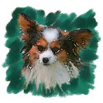 Jacque the Papillon in Watercolor